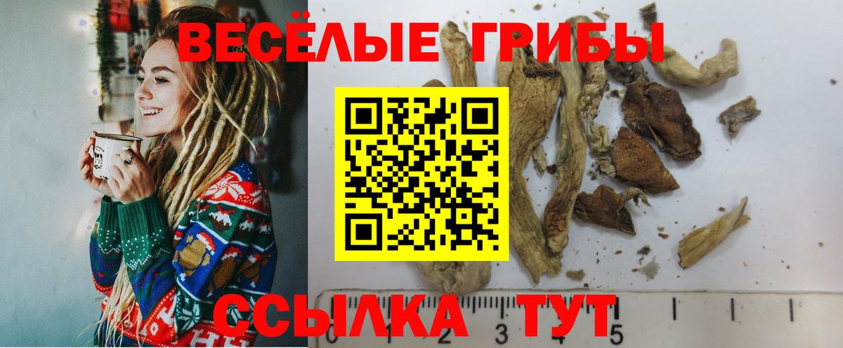 Псилоцибиновые грибы прущие грибы  Вход с VPN  Печора 